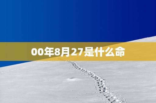 00年8月27是什么命