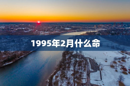 1995年2月什么命