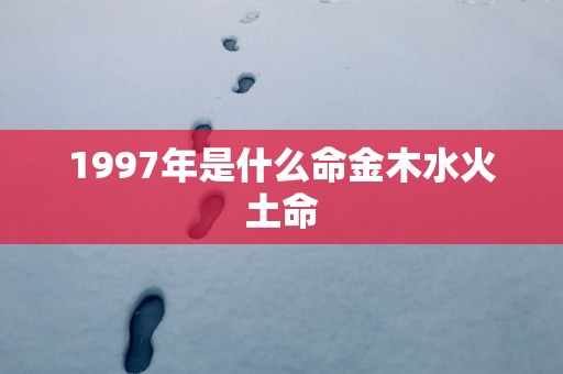 1997年是什么命金木水火土命