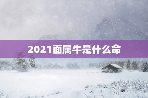 2025面属牛是什么命