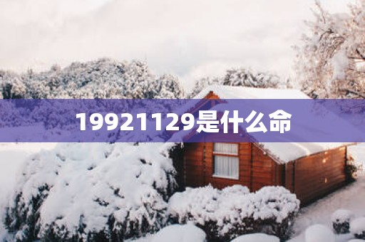 19921129是什么命
