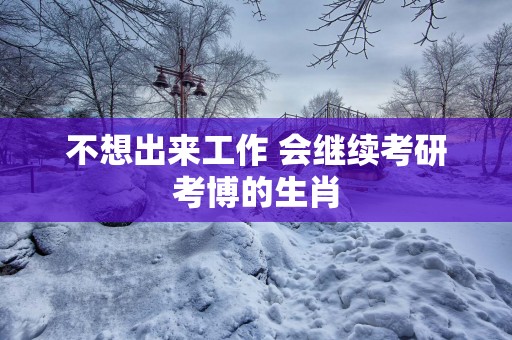 不想出来工作 会继续考研考博的生肖