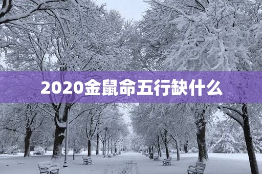 2025金鼠命五行缺什么