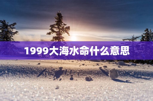 1999大海水命什么意思