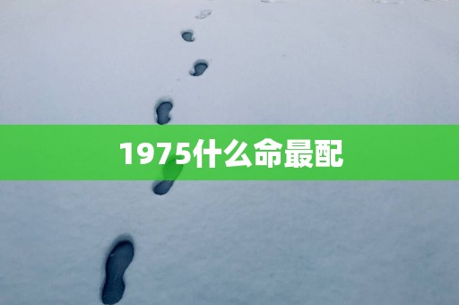 1975什么命最配