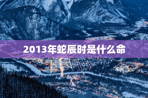 2013年蛇辰时是什么命