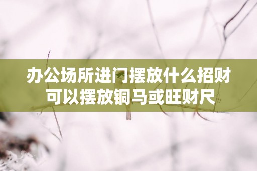 办公场所进门摆放什么招财 可以摆放铜马或旺财尺
