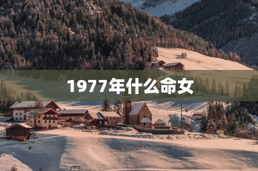 1977年什么命女