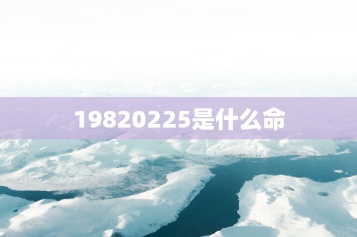19820255是什么命
