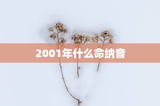 2001年什么命纳音