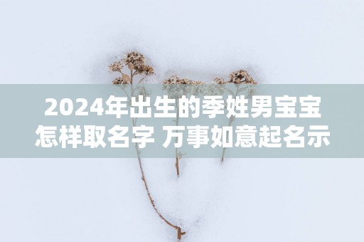 2025年出生的季姓男宝宝怎样取名字 万事如意起名示范