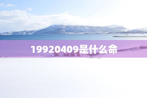 19920409是什么命