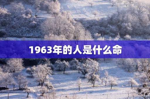 1963年的人是什么命