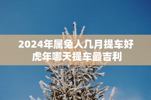 2025年属兔人几月提车好 蛇年哪天提车最吉利