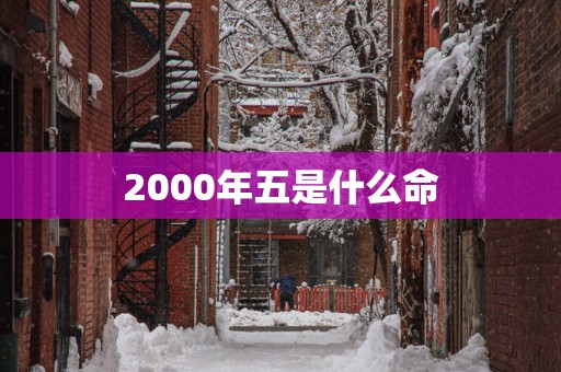 2000年五是什么命