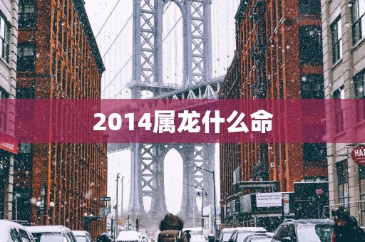 2014属龙什么命
