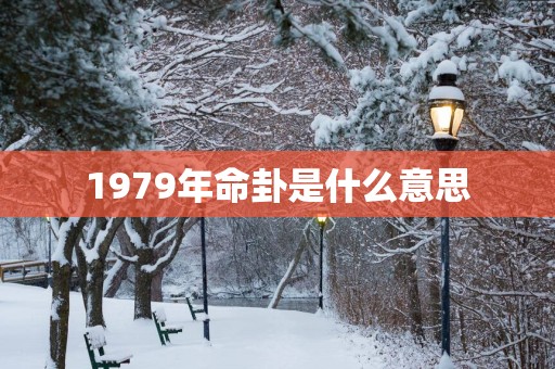 1979年命卦是什么意思