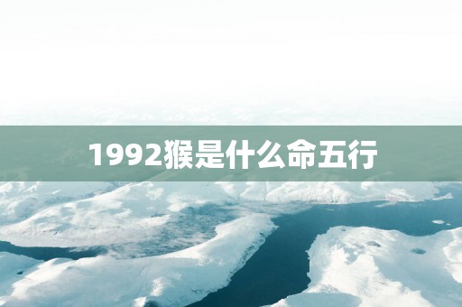 1992猴是什么命五行