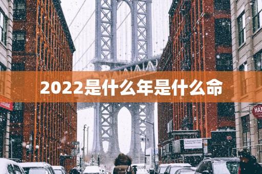 2025是什么年是什么命