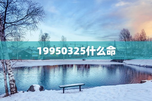 19950325什么命
