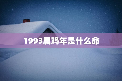 1993属鸡年是什么命