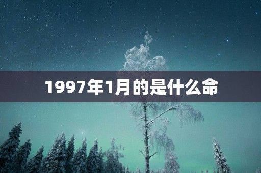1997年1月的是什么命