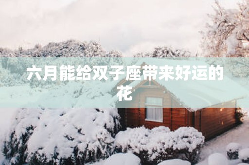 六月能给双子座带来好运的花