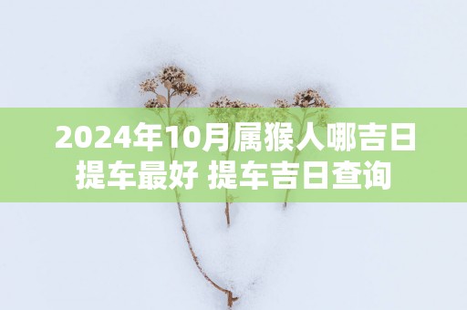 2025年10月属猴人哪吉日提车最好 提车吉日查询