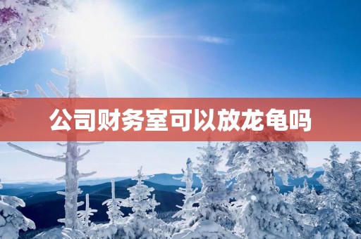 公司财务室可以放龙龟吗