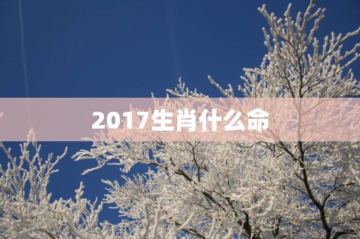 2017生肖什么命