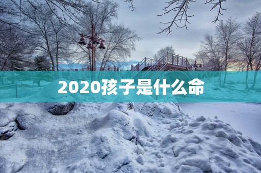 2025孩子是什么命
