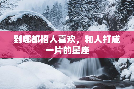 到哪都招人喜欢，和人打成一片的星座