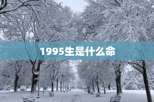 1995生是什么命
