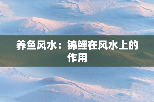 养鱼风水：锦鲤在风水上的作用