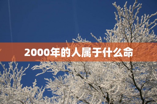 2000年的人属于什么命