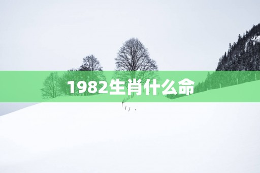 1982生肖什么命