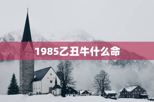 1985乙丑牛什么命