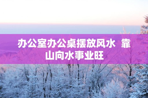 办公室办公桌摆放风水  靠山向水事业旺