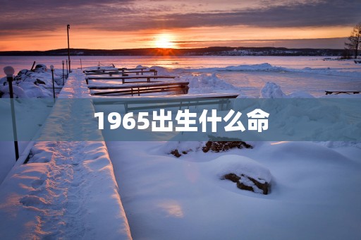 1965出生什么命