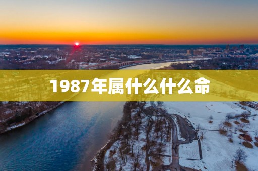 1987年属什么什么命