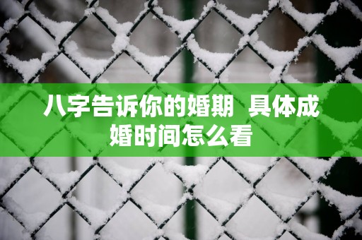 八字告诉你的婚期  具体成婚时间怎么看