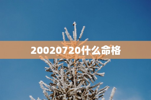 20020720什么命格