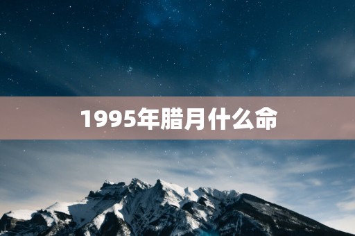 1995年腊月什么命