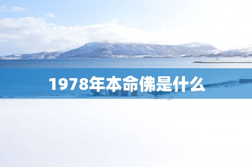 1978年本命佛是什么