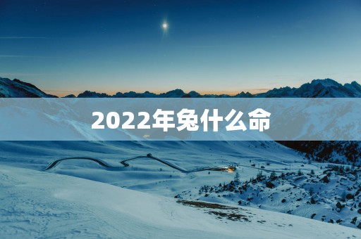2025年兔什么命