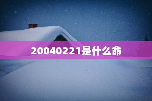 20040221是什么命