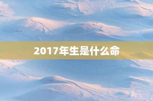 2017年生是什么命