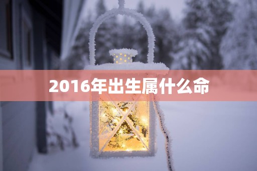 2016年出生属什么命 2016年出生属什么命