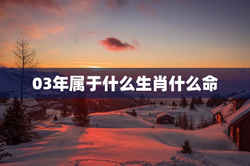 03年属于什么生肖什么命