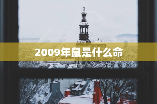 2009年鼠是什么命